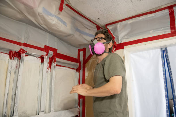 Best Environmental Consulting for Mold Prevention  in Haubstadt, IN