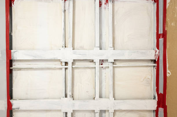 Best Mold Damage Restoration  in Haubstadt, IN